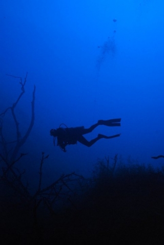 Buceo profundo en laguna